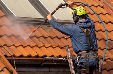 Démoussage et hydrofuge de toiture à Bellaffaire